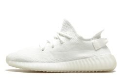 Adidas yeezy boost 350 v2