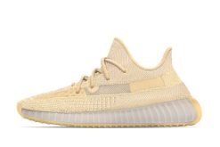 Adidas yeezy boost 350 v2