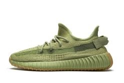 Adidas yeezy boost 350 v2