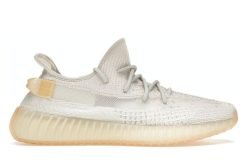 Adidas yeezy boost 350 v2