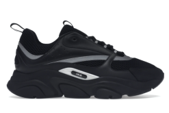Dior B22
