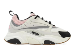 Dior b22