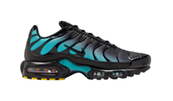 Nike Air Max Plus TN 1 Black Aurora Green