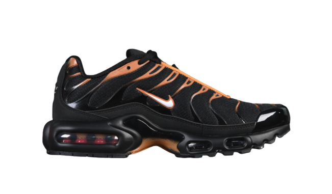 Nike Air Max Plus TN 1 Dark Obsidian Monarch