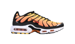 Nike Air Max Plus TN 1 Sunset
