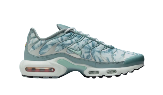 Nike Air Max Plus TN 1 Waterways