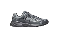 Dior B30 Light Grey Grey