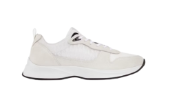 Dior B25 White Suede
